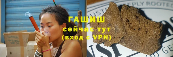 сатива Алзамай