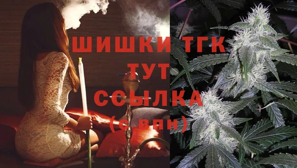 сатива Алзамай
