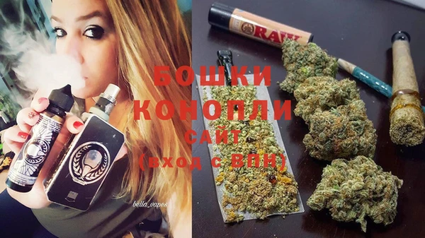 сатива Алзамай
